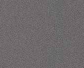 Xtreme 220: Blizzard (YS 081) Grau